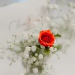 Claire Rose Panzió