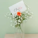 Panzió Claire Rose *