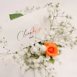 Claire Rose Matera