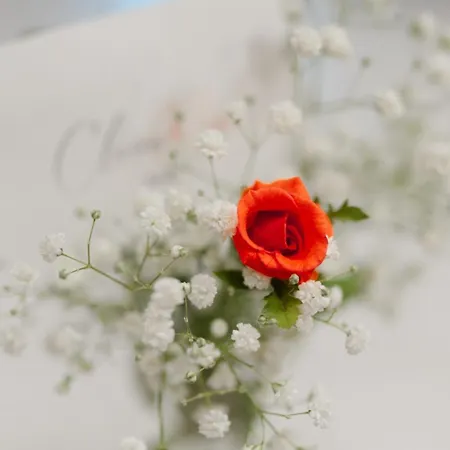 Claire Rose Bed & Breakfast