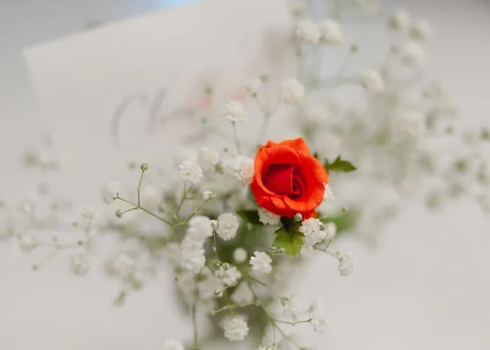 Claire Rose Nocleg ze śniadaniem