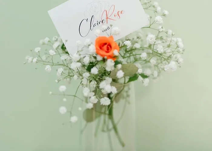 Nocleg ze śniadaniem Claire Rose *